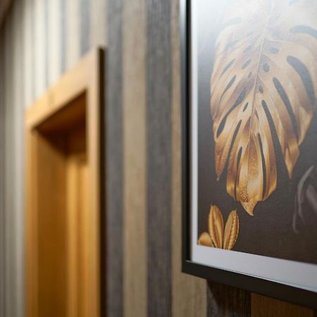 Apartments Alkantara Chrzanow Ngoại thất bức ảnh